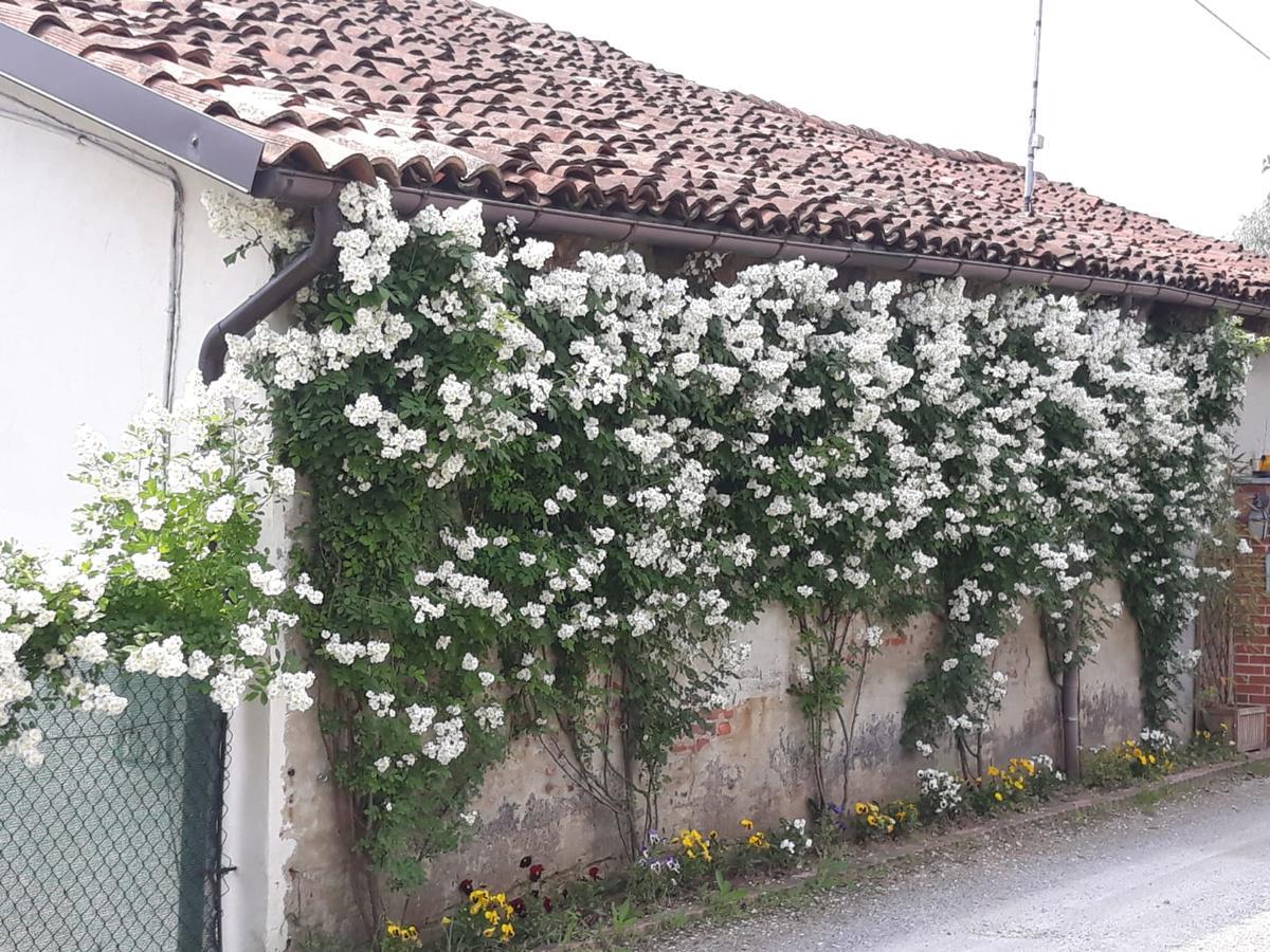 Il Mulino Di Geminella Apartment Narzole Exterior photo